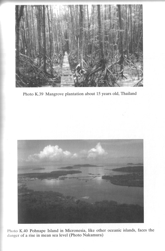 Mangrove Management and Conservation - aus dem Buch